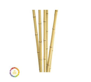 Poteaux de support solides pour plantes de bambou, piquets de jardin durables pour l'agriculture, la pépinière, l'agriculture et l'aménagement paysager - Product Image 1