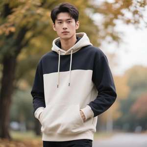 Sweats à capuche de haute qualité pour hommes, 100% coton premium, anti-froissement, séchage rapide, couleur personnalisée, logo brodé - Product Image 2