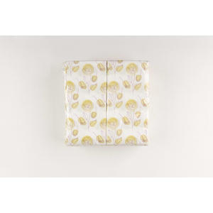 Servilletas Verdes con Estampado Infantil de 40x40cm, Plegadas 1/8, Toallitas Secas Suaves, 480 Unidades, B2B - Product Image 3