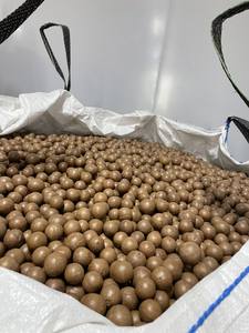 Deliciosa nuez MACCA de Vietnam, nuez MACCA asada seca para bocadillos energéticos e ingredientes para hornear, calidad de exportación a granel - Product Image 5