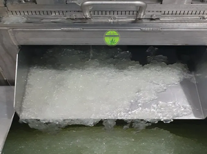 ขายส่งว่านหางจระเข้-อินทรีย์ว่านหางจระเข้ด้วยราคาที่ดีที่สุด // mr.kevin - Product Image 3