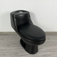 FLUOR <strong>Best</strong> <strong>Selling</strong> Modern <strong>Black</strong> Ceramic One Piece Siphonic <strong>Toilet</strong> with Dual-Flush Slow Closing S-trap Elongated Bowl