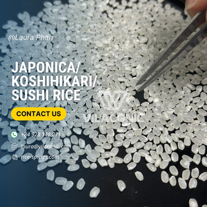 Nuevo cultivo Koshihikari medio japonés Japonica arroz blanco seco similar a Basmati Direct Laura Rice Mill Vietnam + 84928148271 - Product Image 6