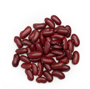 Haricot rouge de qualité supérieure disponible à la vente en vrac Haricots à faible coût parfaits pour l'industrie alimentaire et l'approvisionnement mondial - Product Image 3