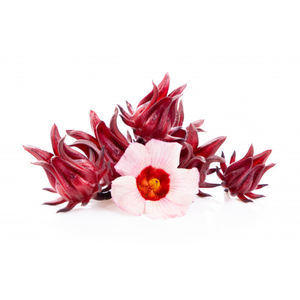 ดอกชบาแบบแห้งทั้งอาหาร - Product Image 4