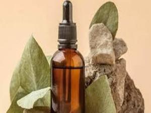 Wholesale Bulk Packaging Pure Hing Essential Oil <b>Resin</b>-Based <b>Liquid</b> Available at Best and Competitive Prices and pack size 25kgs - Product Image 2