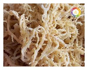 Vietnam Eucheuma Cottonii Algues biologiques naturelles à usage industriel Production alimentaire et commerce international - Product Image 6