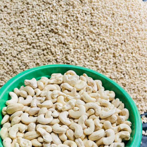 Nueces de Anacardo Hechas en Vietnam W180 W240 W320 Kaju Badam SANTIGO Servicio de Nueces de Anacardo Secas 24/24 - Product Image 1