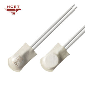 HCET Motor Eléctrico Monofásico de Alta Calidad con Termointerruptor Térmico de 250V - Product Image 2