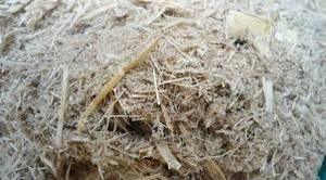 ENSILACE DE BAGAZO BLANCO SECO PRODUCTO CALIENTE DE VIETNAM CON BAJO PRECIO PARA ALIMENTACIÓN ANIMAL Y ABONO - Product Image 5