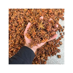 Hierba de anís estrellado de alta calidad, forma entera, especias secas procesadas crudas, condimento de Primavera de otoño, anuncio de hinojo, gran oferta, gránulos de anís estrellado - Product Image 4