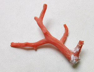 ¡Coral! Piedra preciosa de Coral italiano natural 100%, palitos de Coral rojo, calidad AAA Coral no pulido en bruto, piedra preciosa de palos de Coral marino - Product Image 2