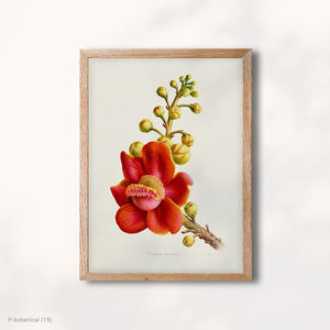Impresión en Lienzo de Arte Botánico de Flor de Camelia Roja, Ilustración Floral Moderna, Decoración Elegante para el Hogar, Marco de Madera - Product Image 1