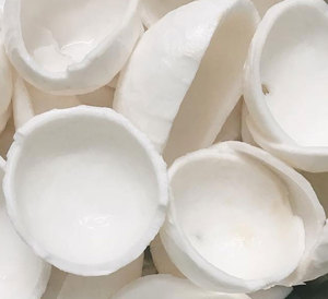 Cubos y Pulpa de Coco Congelados de Alta Calidad envasados al Vacío 10 kg de Vietnam - Product Image 1