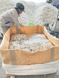 Fournisseur de puces de marbre d'application de villa de puces de pierre de gravier de galet dégringolé par roche blanche naturelle - Product Image 5