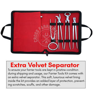 Kit d'outils de maréchal-ferrant, équipement vétérinaire, kit de ferrage pour chevaux, pince à clincher, testeur de sabots, marteau de maréchal-ferrant, couteaux, tampon, brosse - Product Image 3
