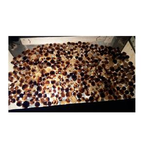 Botones de Cuerno de Búfalo Tallados a Mano en India, Color Negro y Tigre, Artesanía Natural, Duraderos - Product Image 2