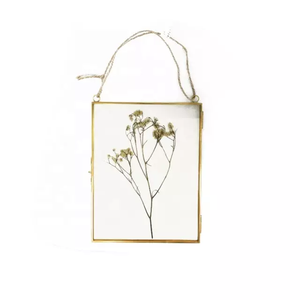 Cadre Photo élégant suspension murale métal et verre pour décoration murale verre couleur or cadre unique suspension murale salon cadre Photo - Product Image 3