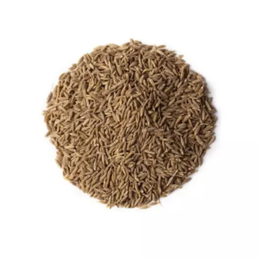 Vendita calda di alta qualità a basso prezzo singolo spezie erbe fornitore Premium produzione all'ingrosso mangimi per animali cumino per l'esportazione dal reggiseno