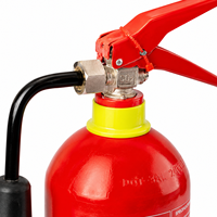 Extincteur à CO2 2 kg en acier portable avec tuyau rouge classe 34B certifié ISO 9001 pour utilisation en véhicule