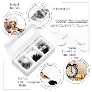 Promade fans lâches 750 0.05 cils lâches premade cils lâches pro fait fans promade cils extensions de cils - Product Image 6