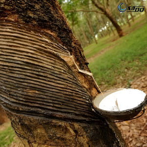 Latex de caoutchouc naturel DRC 60 Fabricant du Vietnam Gants en latex Adhésif en caoutchouc Mousse Lartex Colles pour chaussures Matelas - Product Image 4