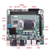 Carte mère ELSKY H81 Socket LGA 1150 pour processeurs Intel 4th Gen Core I3/i5/i7 DDR3 Max 16GB RAM