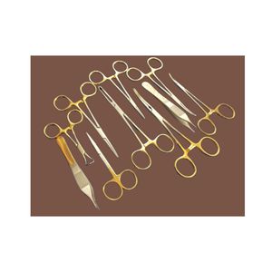 Ensemble de chirurgie vétérinaire en acier inoxydable de qualité supérieure 10 pièces Instruments chirurgicaux canins félins poignées en argent réutilisables chirurgicaux - Product Image 1