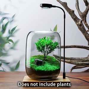 Terrario <span class=keywords><strong>in</strong></span> Vetro Trasparente Fai-da-Te 16x22 cm, Vaso per <span class=keywords><strong>Piante</strong></span> <span class=keywords><strong>Grasse</strong></span>, Felci e Micro-Paesaggi, per Casa e Ufficio, Vendita all'Ingrosso - Product Image 3