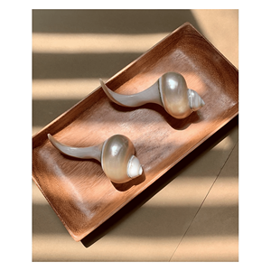 Repose-baguettes en coquillage naturel, support pour ustensiles en coquillage marin pour baguettes, cuillères, décoration de table et repas asiatiques, Vietnam - Product Image 3