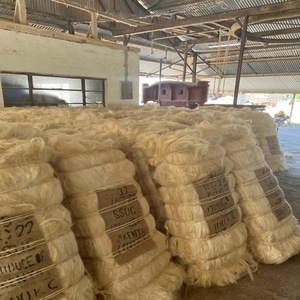 Fibres de sisal naturelles brutes, brins de fibres écologiques pour le filage, le rembourrage et les tissus non tissés - Product Image 4