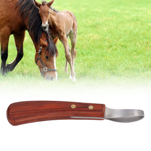 Cuchillo para Cascos de Primera Calidad, Cuchillo Ovalado para Herrador, Cuchillo para Cascos de Caballos, Hoja de Acero Inoxidable, Mango de Madera de Caucho, Cortador de Cascos para Ganado y Caballos - Product Image 6