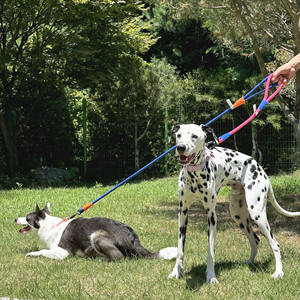 Correa para Perro PETBOS con Diseño de Mango, 0.6M, OEM COREA, Poliéster Suave, Mediana, para Perros con Gran Fuerza de Tracción, Simple, Moderna, Ligera - Product Image 5