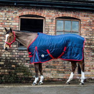 高领赛车聚棉牛津贝壳马毯透气冬季稳定黑色红色羽毛填充 - Product Image 6