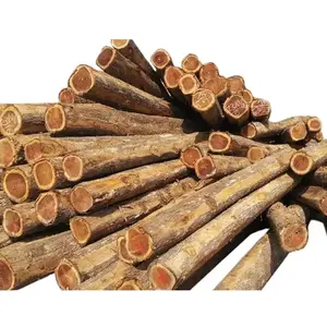 Stave Wood용 티크 로그, 산업용 도매 가격에 적합한 50-130 cm 직경