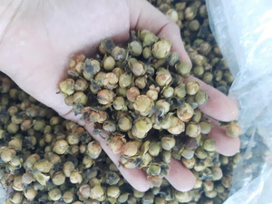 ชานชาฮัว ชาดอกบัวหิมะแห้ง ชาดอกคาเมลเลียญี่ปุ่นิกาแห้ง - Product Image 5