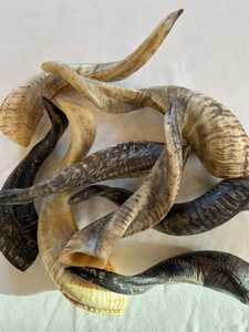 ฮอร์นแกะสีดำตกแต่งด้วย faizacraft สีดำดีไซน์ใหม่ตามต้องการ - Product Image 3