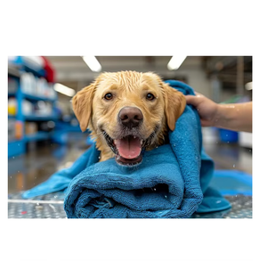 ผ้าขนหนูสำหรับสัตว์เลี้ยงที่ดูดซับได้ดีเยี่ยมสำหรับสุนัขและแมว ผ้าเนื้อนุ่มแห้งเร็วสำหรับการอาบน้ำ การดูแลขน ท่องเที่ยว และการใช้งานกลางแจ้ง - Product Image 3