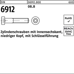 Tornillo de Cabeza Hexagonal Interna DIN 6912 M12x65 8.8, 100 Piezas - Product Image 1