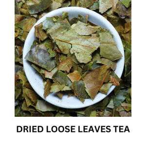 100% feuilles de corossol séchées naturelles originaires du Vietnam à un prix compétitif, bonnes pour la santé - Product Image 2