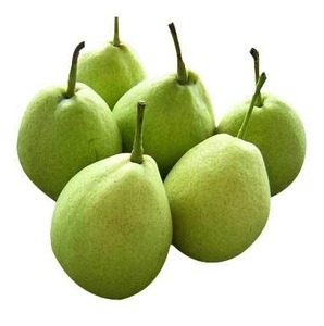 ลูกแพร์ออร์แกนิกลูกแพร์สดคุณภาพสูง - Product Image 6