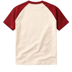 T-shirt en chenille raglan Kappa Alpha Psi, taille standard, coton premium, broderie, vêtements de fraternité grecque - Product Image 5