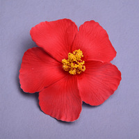 Pince à cheveux fleur d'hibiscus MU 18 couleurs, accessoire de photographie pour maillot de bain, tenue de plage, fleurs colorées