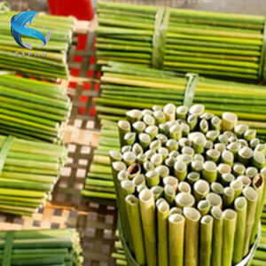 หลอดหญ้า lepironia แบบออร์แกนิกภาชนะใส่เครื่องดื่มย่อยสลายได้อย่างยั่งยืน - Product Image 3