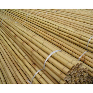 Venta al por mayor de palos de bambú baratos del proveedor de productos agrícolas de Vietnam Bao Tram Anh - Product Image 1