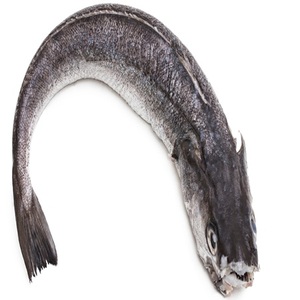 Pescado Entero de Hake de Aleta Larga Congelado envasado al Vacío de Alta Calidad - Product Image 2