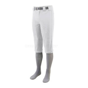 Uniforme de baseball personnalisé pour les jeunes, comprenant un maillot et un pantalon avec le nom de l'équipe, le logo et le numéro, toutes tailles. - Product Image 6