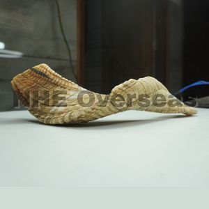 Cuerno de carnero Natural para masticar perros para mascotas Cuerno duradero orgánico Tratar cuidado dental de larga duración Juguete para masticar para perros activos - Product Image 5