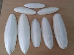 Hueso de sepia para pájaros más vendido, la mejor comida para el cuidado de aves de Vietnam de alta calidad (Sr. Pierre Luu) - Product Image 6