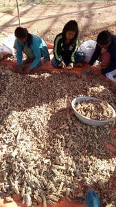 กระเป๋าบรรจุน้ำมันเรซินธรรมชาติขนสั้นจากเวียดนามสำหรับวันหยุดสินค้าส่งออกขนาดใหญ่ - Product Image 3